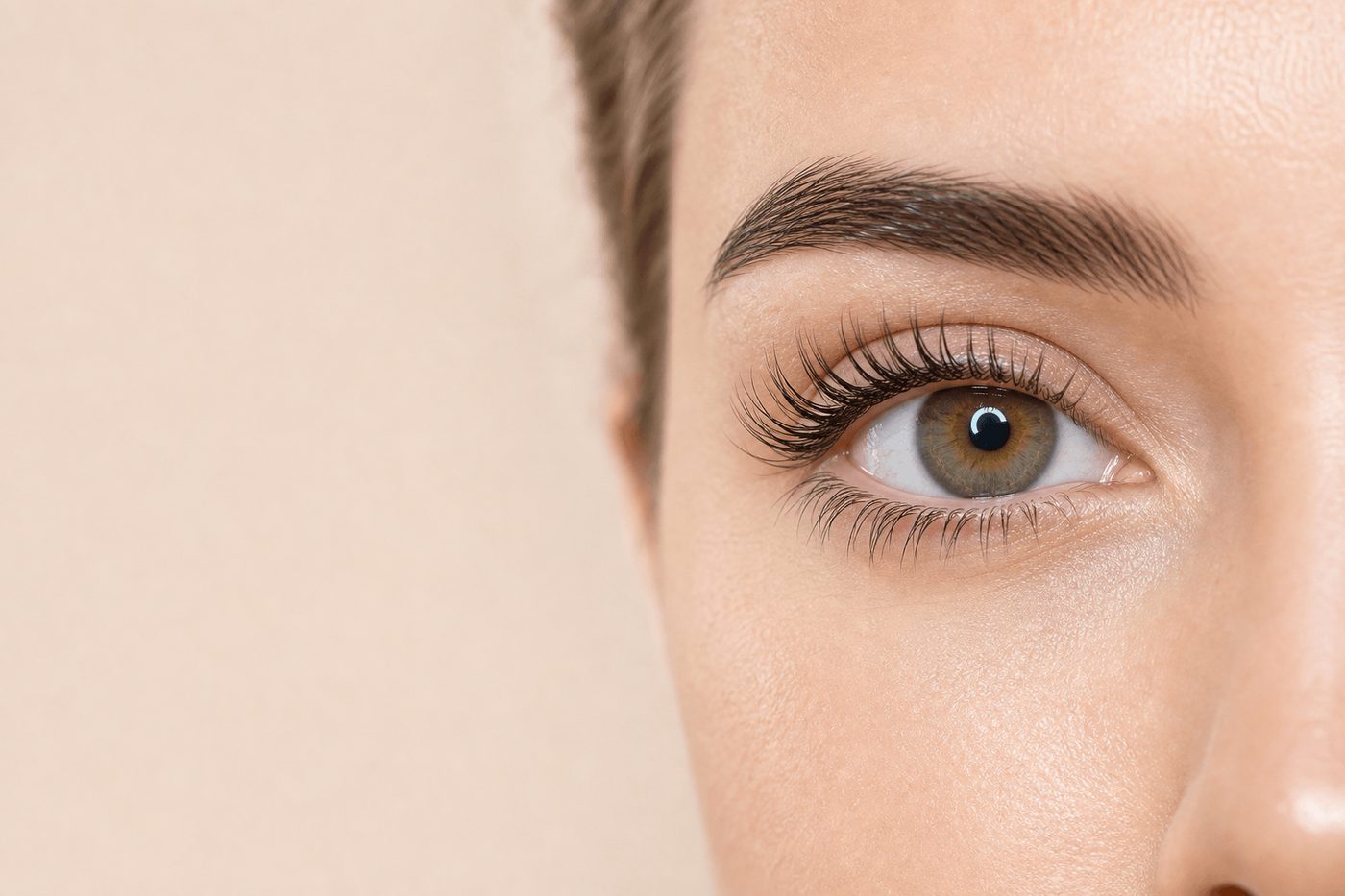 Lashes & Brows